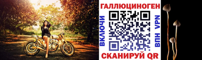 Галлюциногенные грибы Cubensis  Купить где  Бикин 